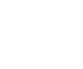 lightbulb icon